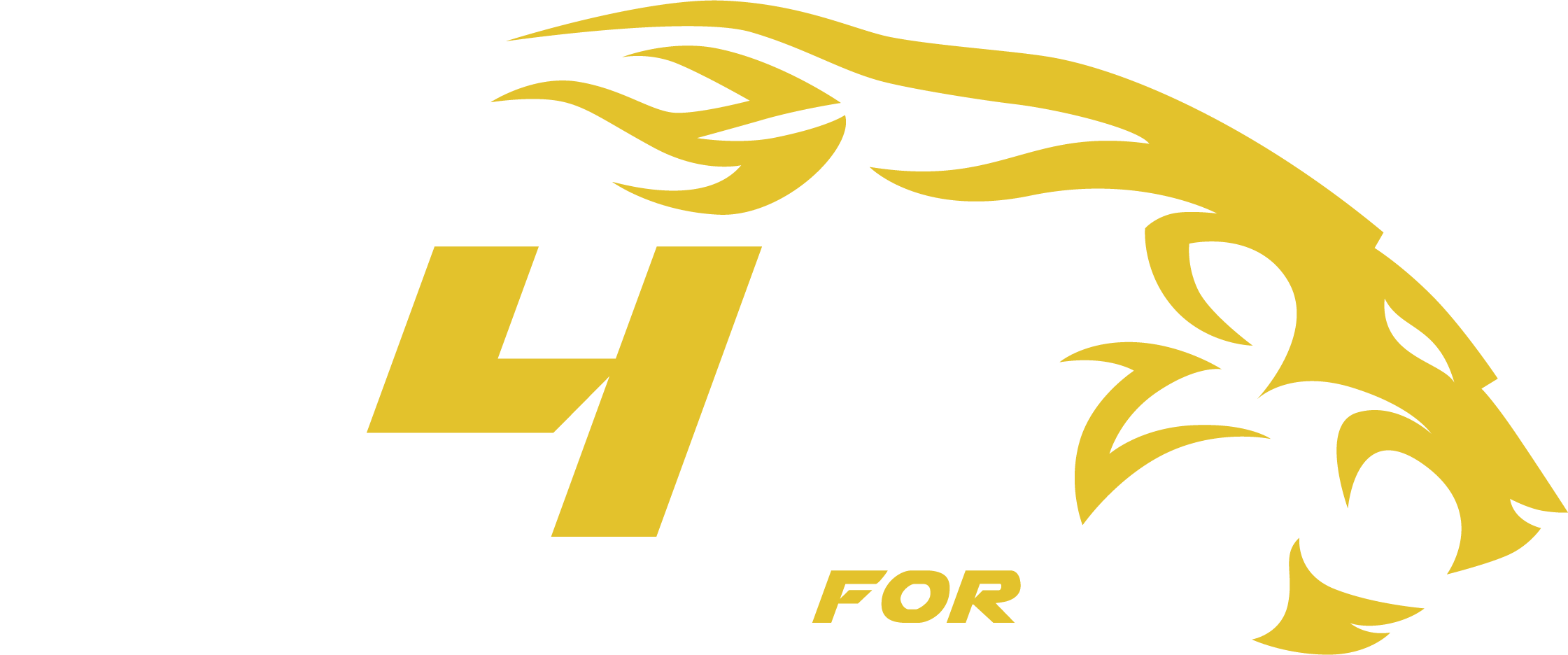 F4F Racing Team